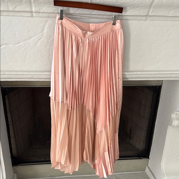 Pink Pleated Maxi Skirt - Picture 6 of 6